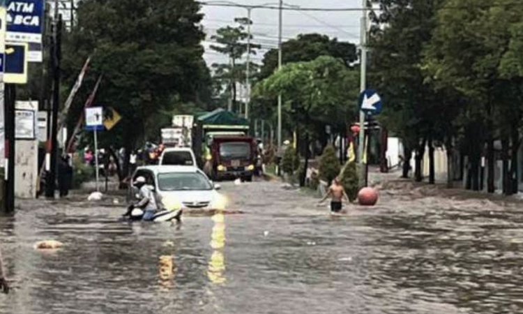 Sejumlah Kelurahan di Kota Banyuwangi Terendam Banjir, Bupati Banyuwangi Tinjau Lokasi Terdampak Sejumlah Kelurahan di Kota Banyuwangi Terendam Banjir, Bupati Banyuwangi Tinjau Lokasi Terdampak Media Tipikor Indonesia